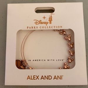 Alex and Ani Disney Parks Collection bracelet.